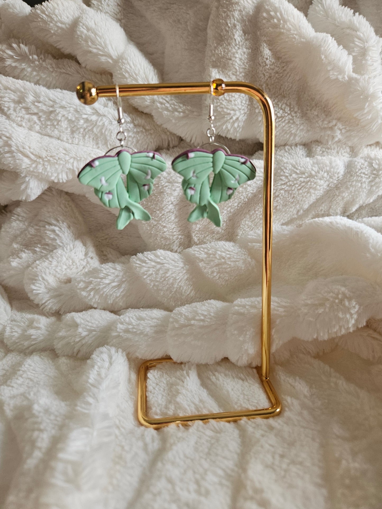 A Luna Moth's Reverie
